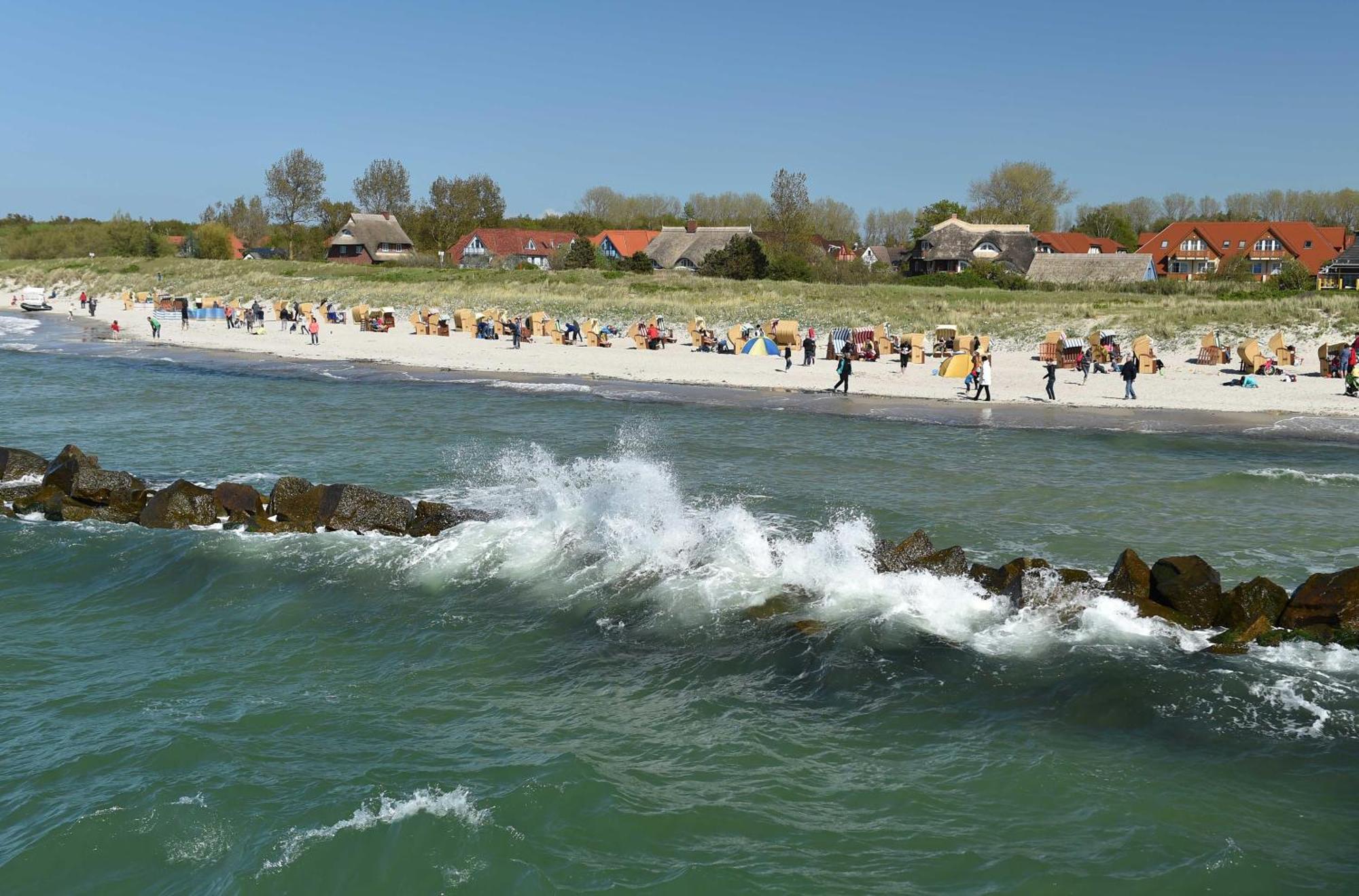 5 Sterne Boddenoase Mit Ostseeblick Apartment